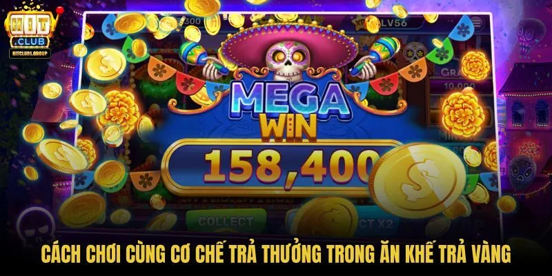 cach-choi-cung-co-che-tra-thuong-trong-an-khe-tra-vang cach-choi-cung-co-che-tra-thuong-trong-an-khe-tra-vang