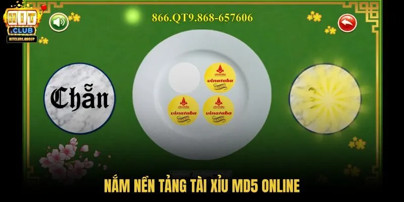 nam-nen-tang-tai-xiu-md5-online