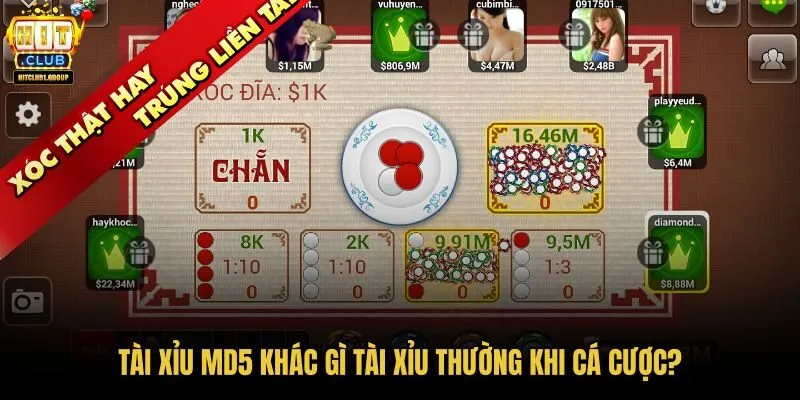 tai-xiu-md5-khac-gi-tai-xiu-thuong-khi-ca-cuoc